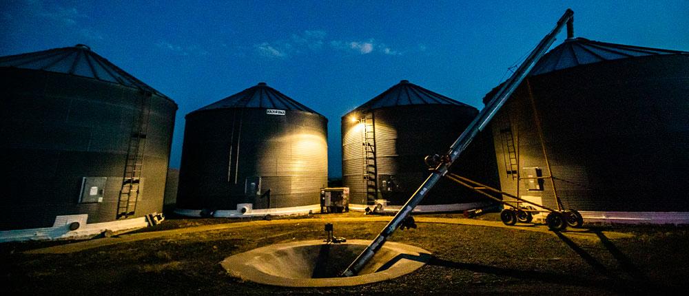 Four grain bins at night